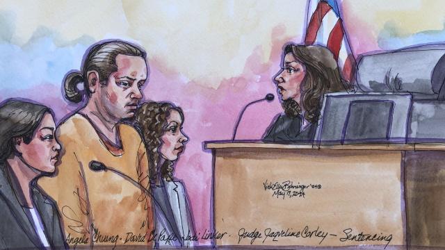 DePape sentencing courtroom sketch 