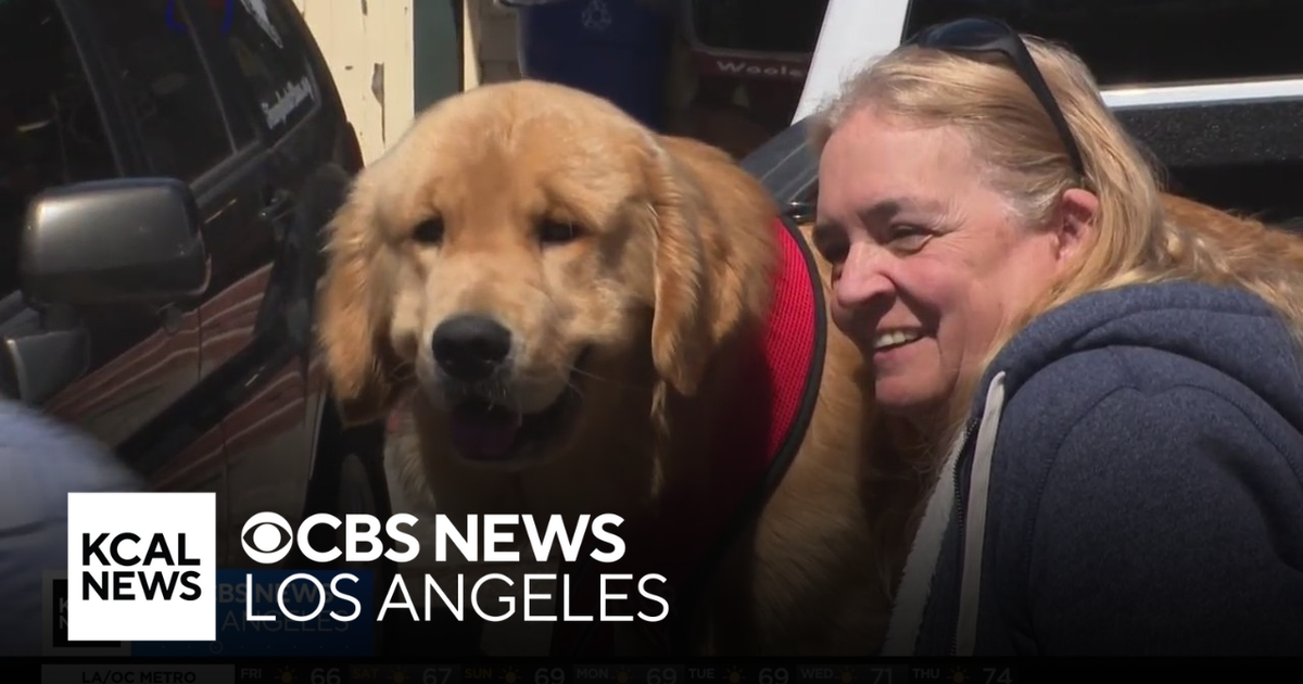 Meet the cutest mayor in all of California | Happy Hour - CBS Los Angeles