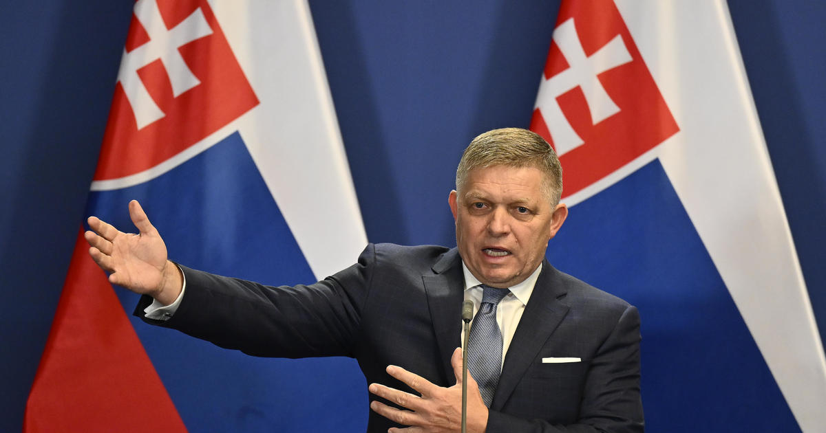 Slovak PM still in serious condition after assassination attempt as suspect appears in court