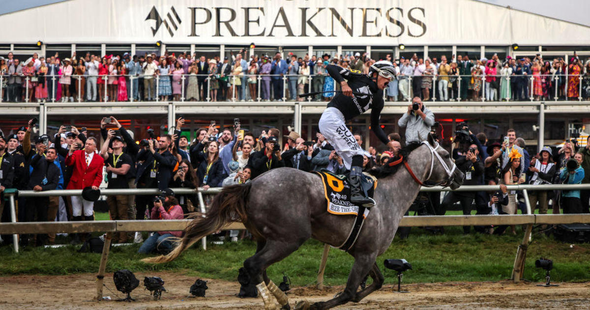 Seize the Grey crosses finish line first at Preakness Stakes, ending Mystik Dan's run for Triple Crown