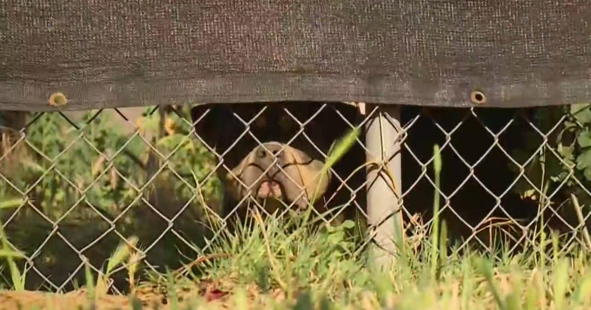 South Sacramento man issues neighborhood warning after dog attack