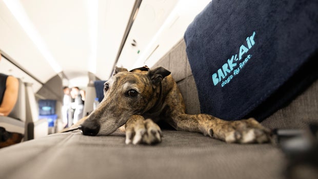 testflight-10.jpg