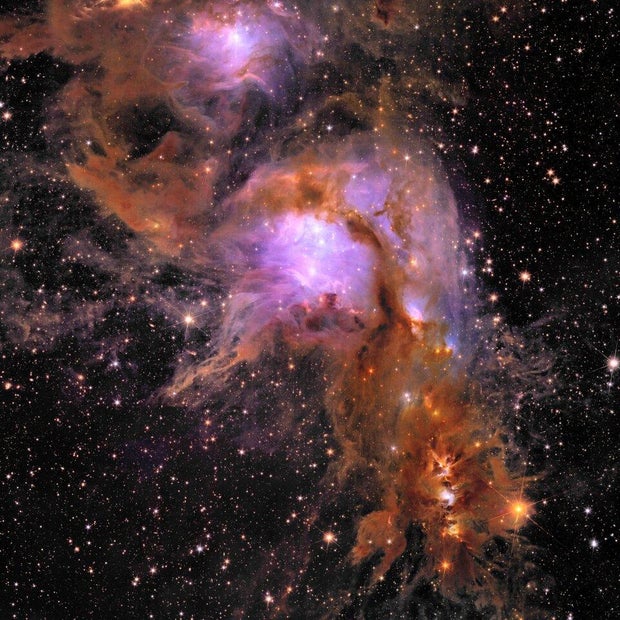 euclid-s-new-image-of-the-star-forming-region-messier-78-article.jpg