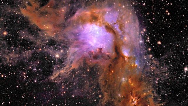 euclid-s-new-image-of-star-forming-region-messier-78-article.jpg 