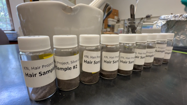 hair samples 