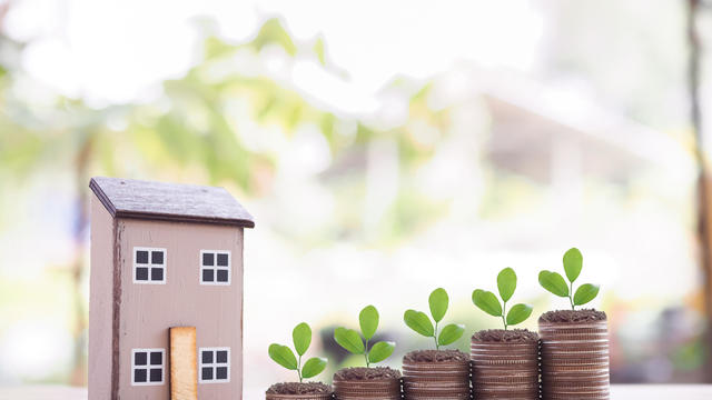 Miniature house and plants growing up on stack of coins. The concept of saving money for house, Property investment, House mortgage, Real estate. 