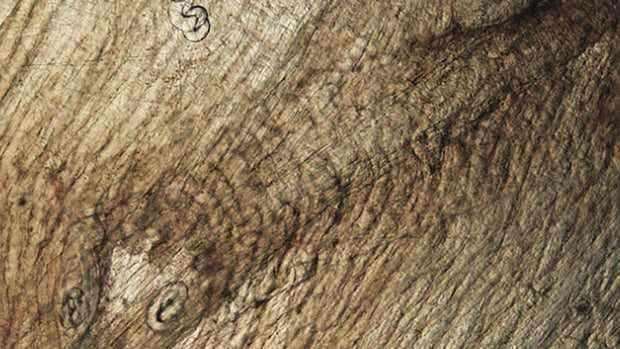 mm7320a2-f-large-copy.jpg