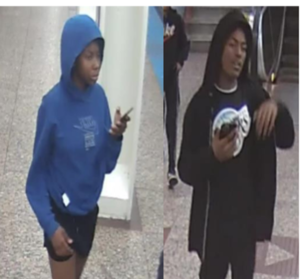 cta-red-line-robbery-suspects.png 