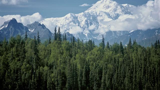 Mount Mc Kinley In Alaska, United States - 