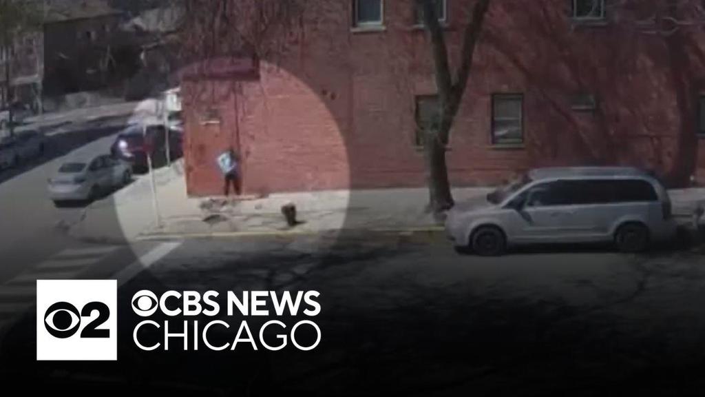 COPA releases video of Chicago Police officer shooting, killing dog