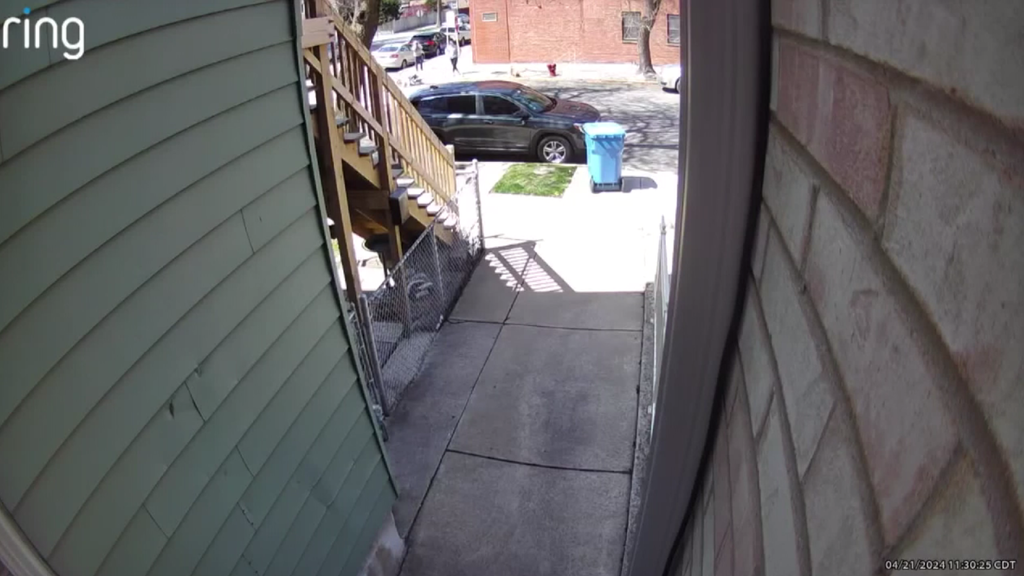 Video shows Chicago Police officer shooting, killing man's dog; COPA
has questions