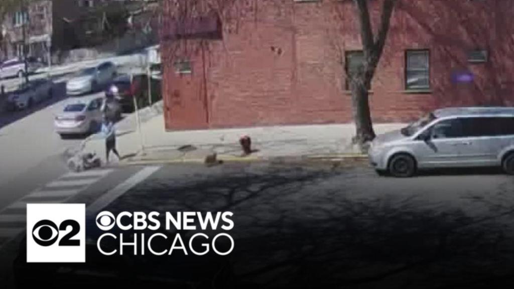 Video shows Chicago Police officer shooting dog