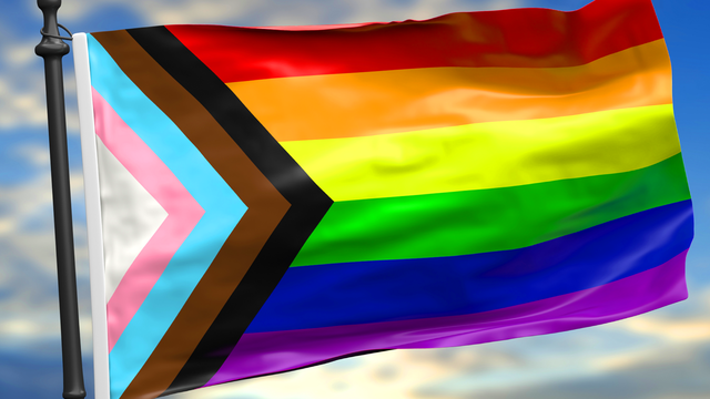 prideflagphilly.png 