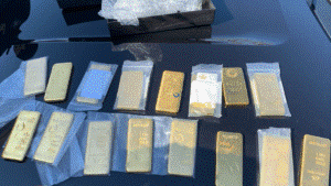 dougco-gold-scam-2-gold-bars-dougco-sojpg-copy.png