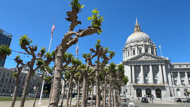 Flags outside SF City Hall