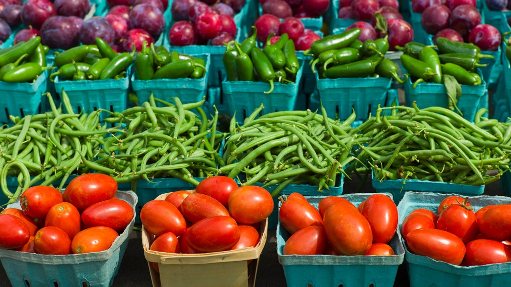 Minnesota launches summer EBT program for families with school-aged kids