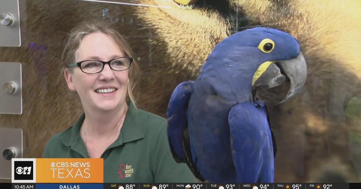 Fort Worth Zoo opens new learning center for visitors - CBS Texas