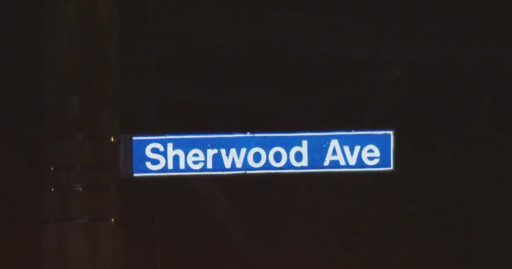 Man shot and killed in Pittsburgh's Sheraden neighborhood - Vimarsana News