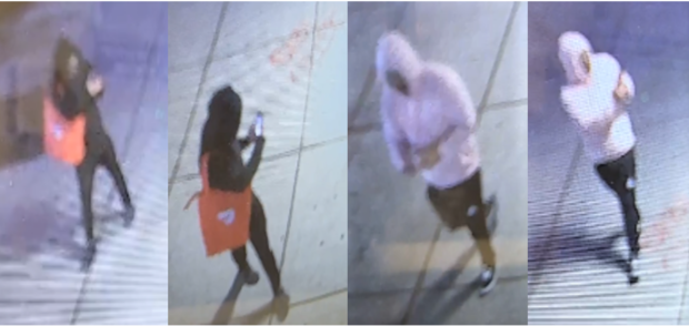 vandalism-suspects-wanted-for-questioning-ppd.png 