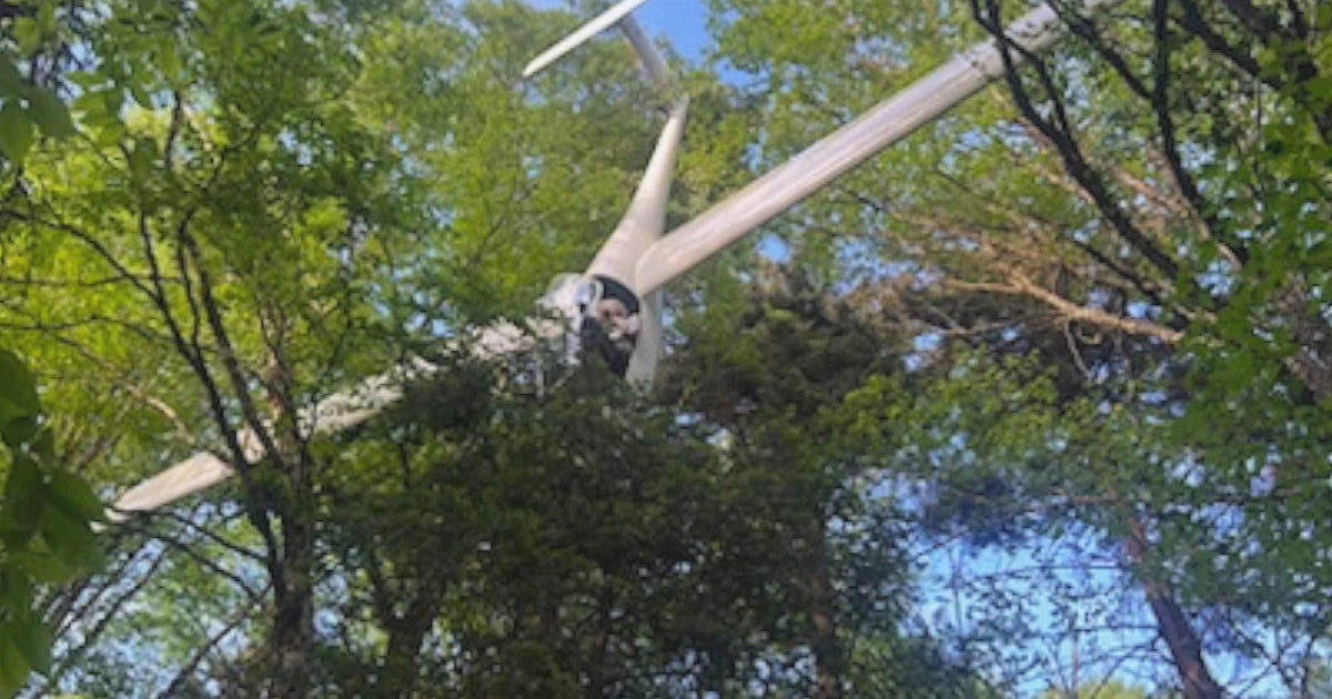 84-year-old glider pilot rescued from tree after crash in New Hampshire ...