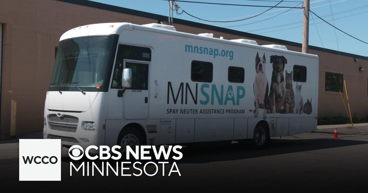 MN SNAP provides spay, neuter resources for rural Minnesotans - CBS ...