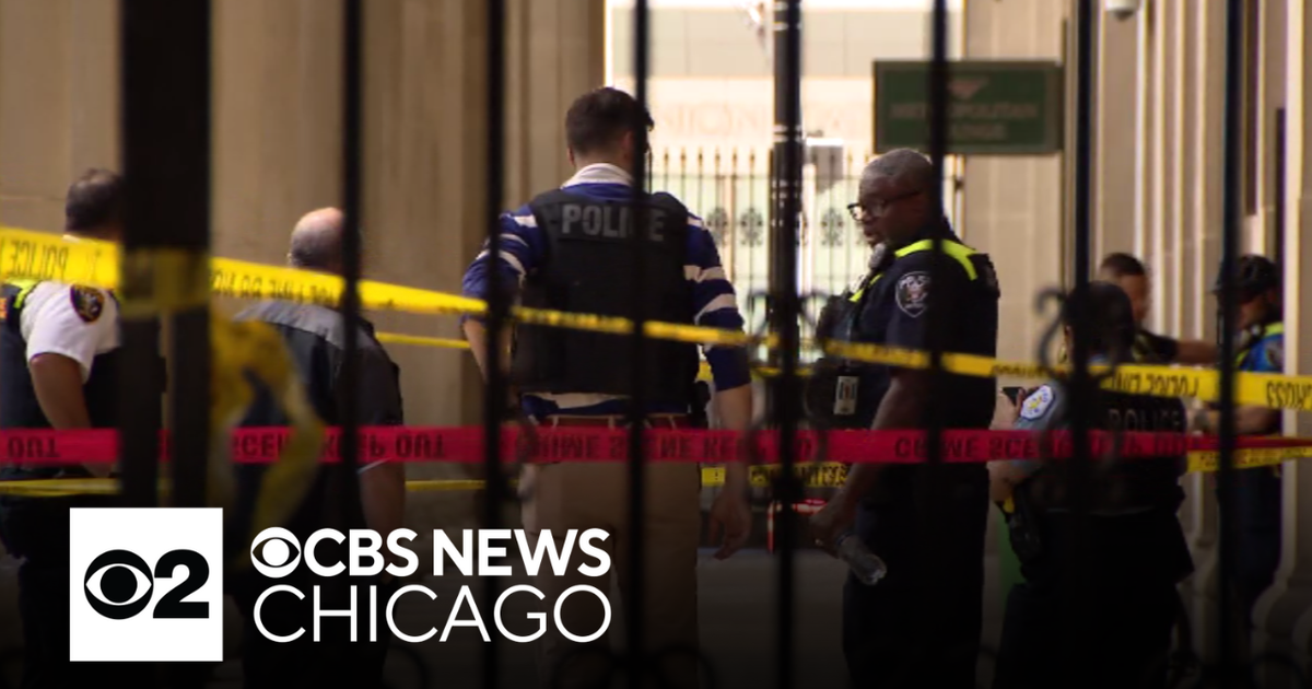 71-year-old woman stabbed near Chicago's Union Station, suspect ...