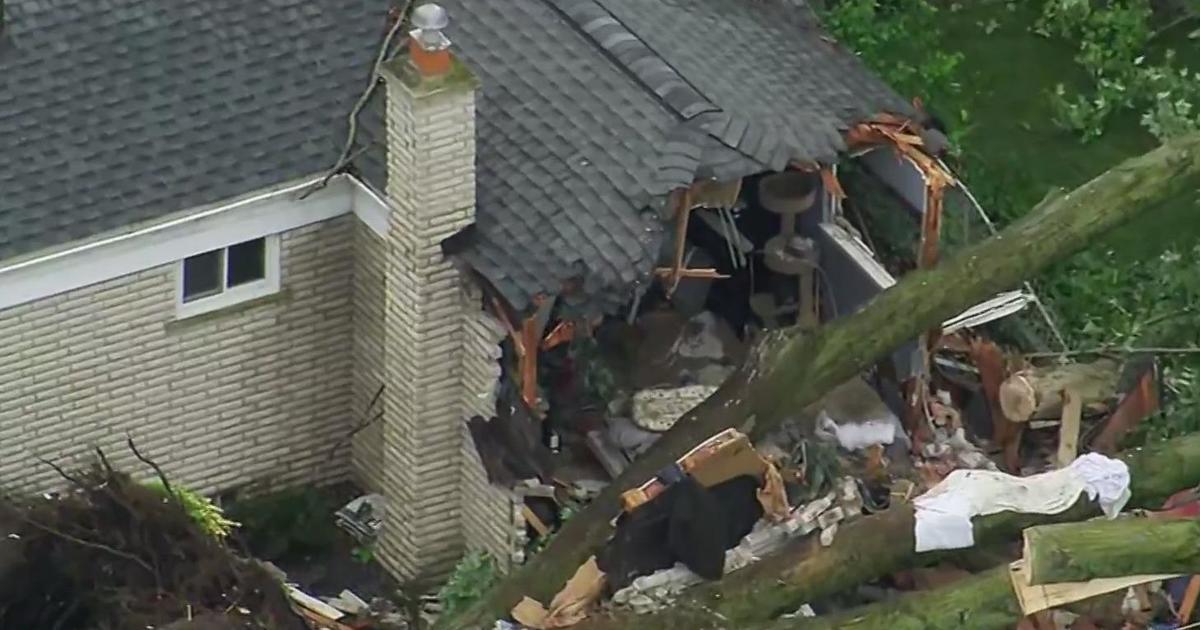 2-годишно дете загина, майка му беше ранена, когато дърво падна върху дома близо до Детройт при тежко време