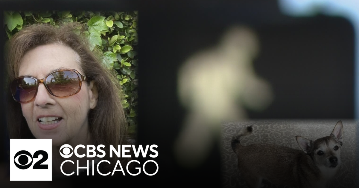 Woman, 71, stabbed in broad daylight in front of Chicago's Union ...