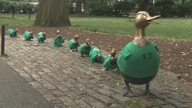 Celtics ducklings 