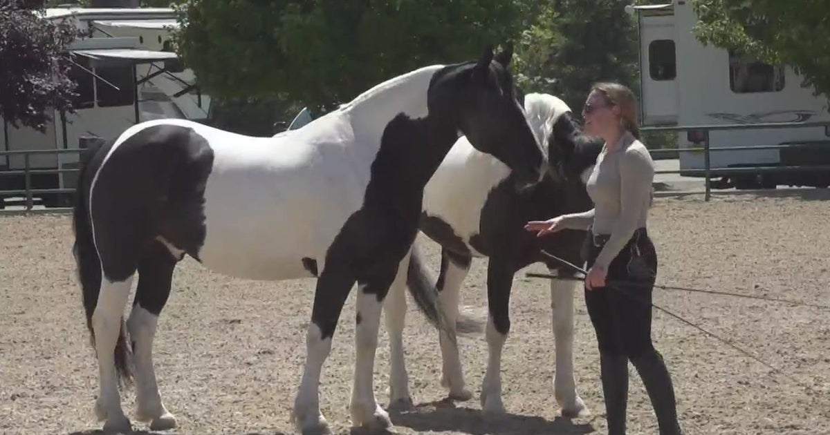 Horse trainer shares her unique ways of training as Western States Horse Expo kicks off