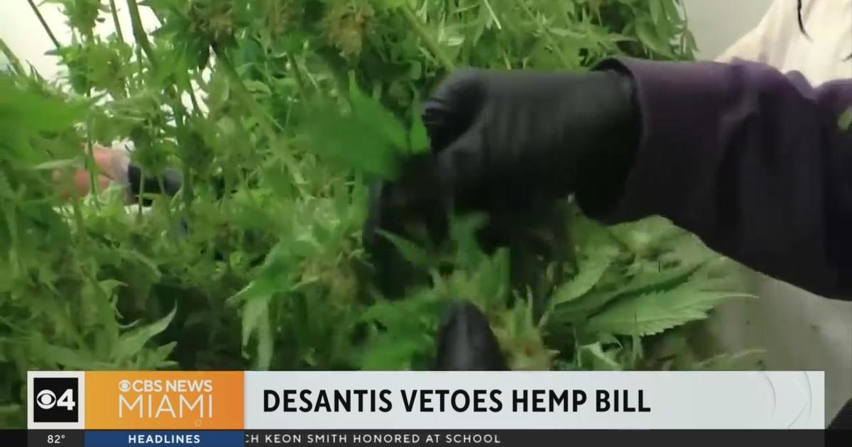 DeSantis vetoes Florida hemp bill CBS Miami