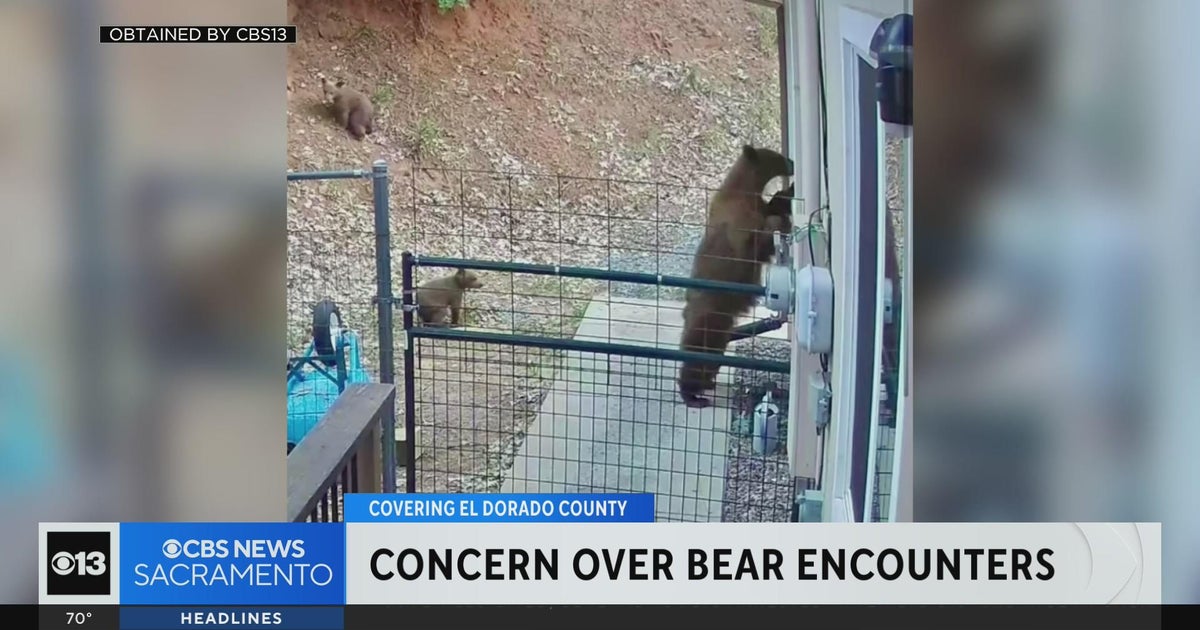 Pollock Pines neighbors concerned over bear encounters