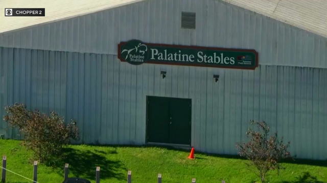 palatine-stables.png 