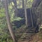 American teen falls over 300 feet to her death in Switzerland