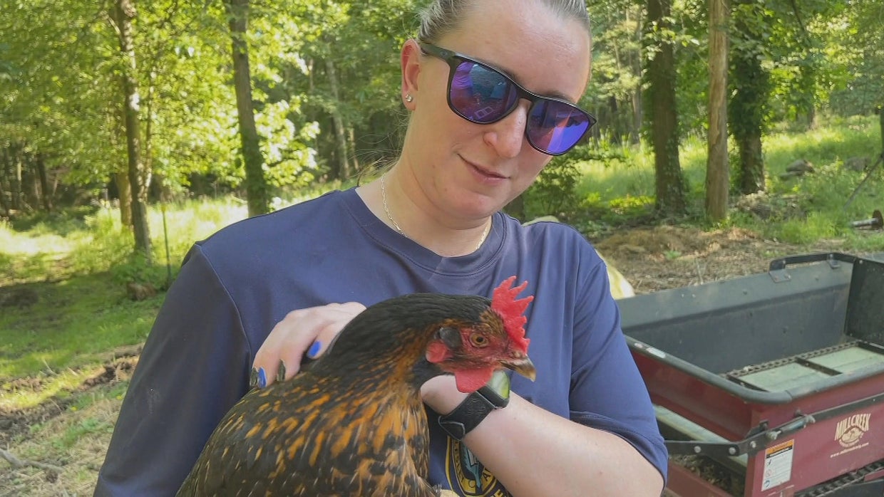 Busy Wellesley animal control officer becomes temporary 