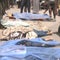 Hamas responds to cease-fire proposal