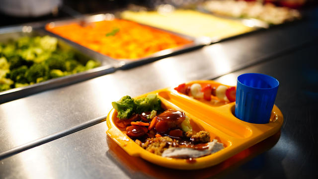 Free school meals roll-out 