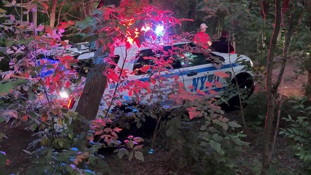 An NYPD vehicle parked on a path in a wooded section of a park. 