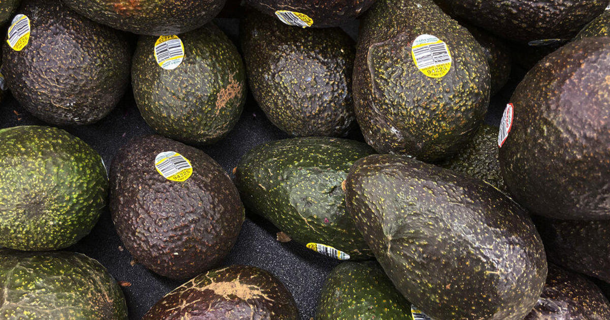 U.S. halts avocado inspections in Mexican state after USDA workers attacked