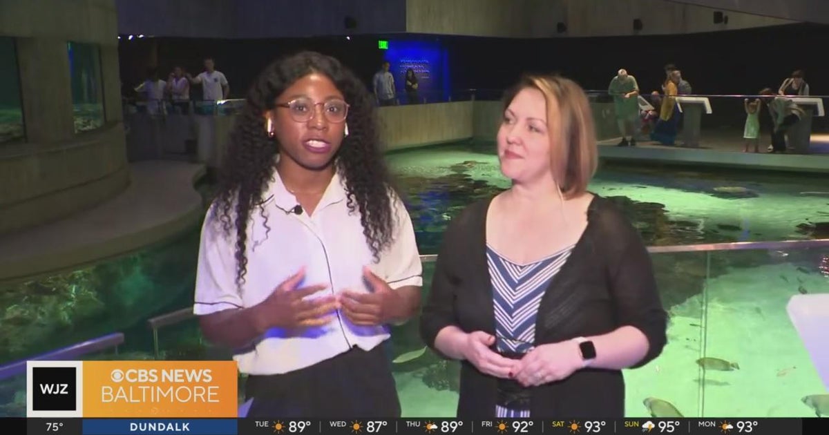 "Voyages" is returning to the National Aquarium exploring themes of