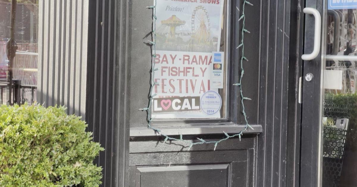 Annual Bay-Rama Fishfly Festival returns to Metro Detroit