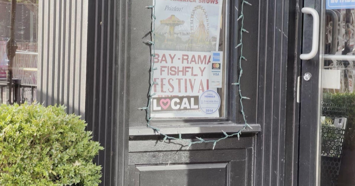 Bay Rama Fishfly Festival 2025