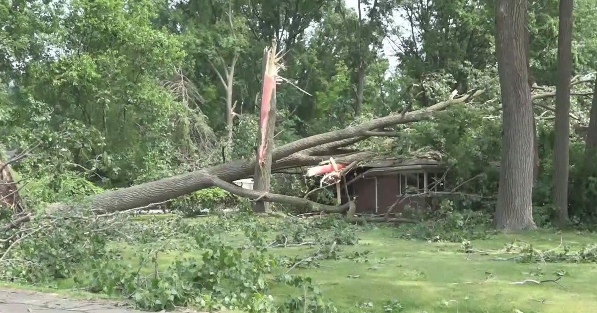 Cleanup begins in Southeast Michigan after damaging storms move through ...
