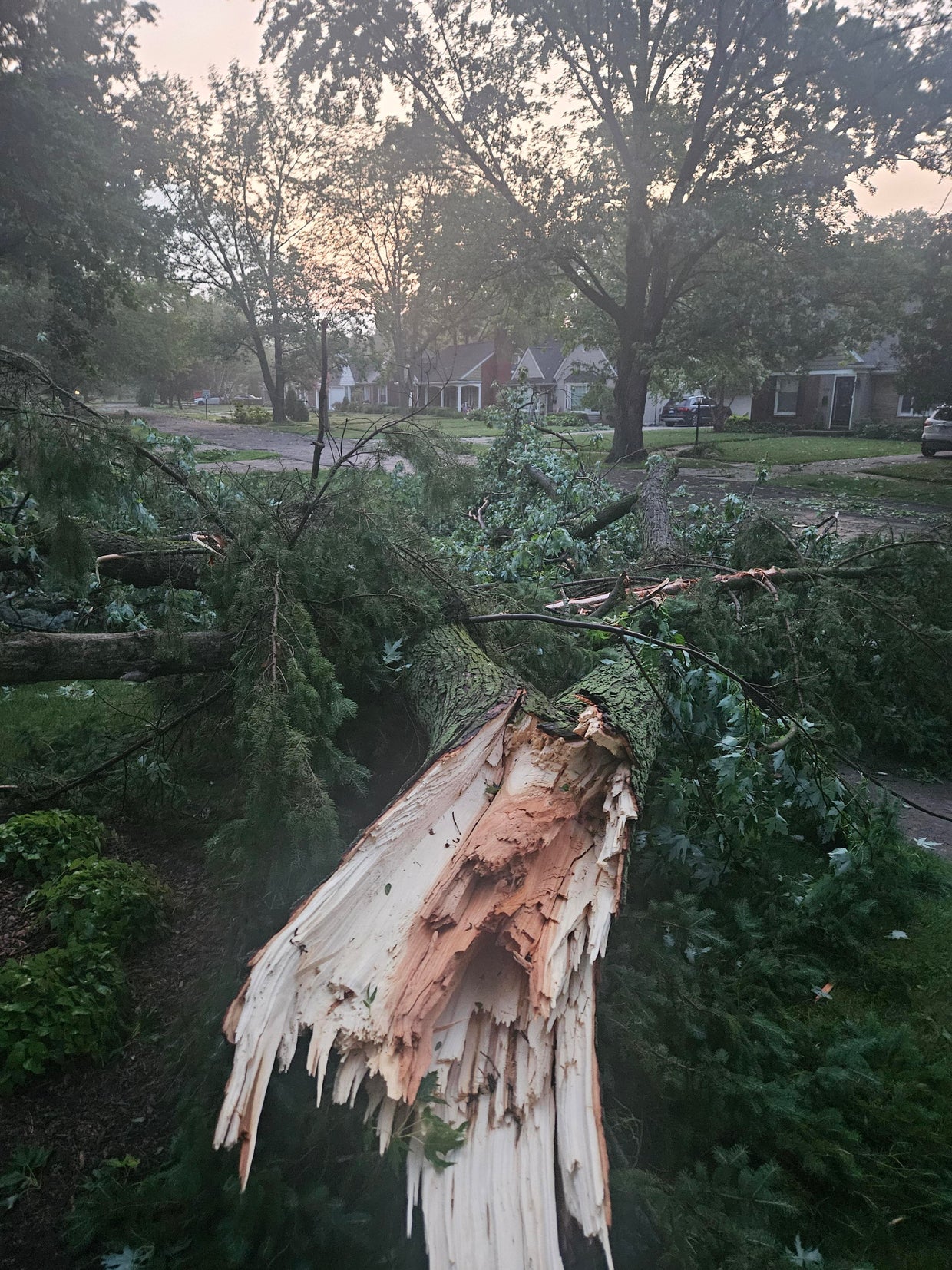 Thousands in Southeast Michigan without power after storms move through ...