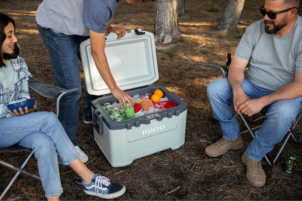 The best coolers for camping in 2024