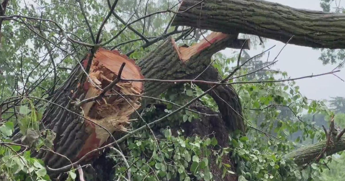Metro Detroit struggles with power outages and storm damage after ...