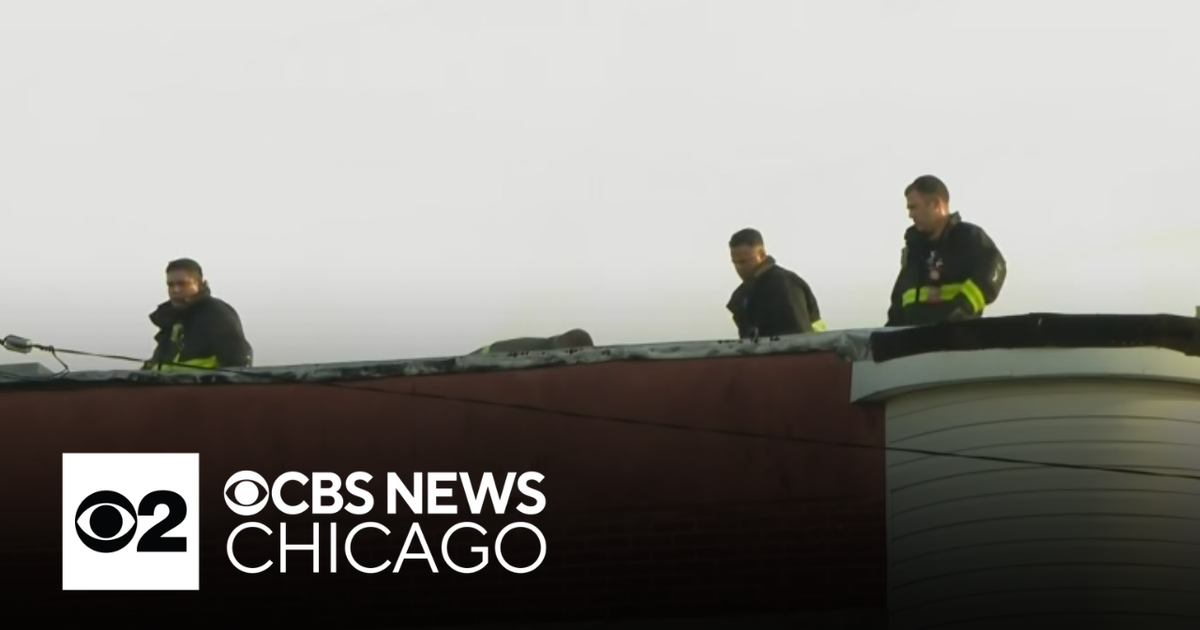 Fire damages residential building on Chicago's West Side - CBS Chicago
