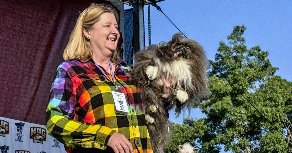 Wild Thang Crowned the Ugliest Dog in the World at Petaluma Contest