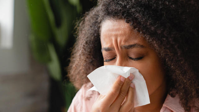 Sneezing coughing ill young using paper napkin, having runny nose, blowing her nose. Coronavirus, infectious disease, flu, cold. 