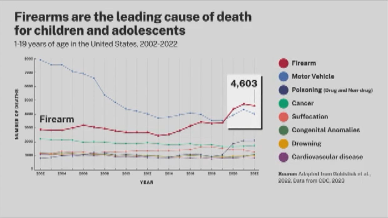 16pkg-ds-gun-violence-public-health-crisis-frame-917.jpg 